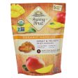 Sunny Fruit Dried Mango Multipack Organic 5x20g Pack Cheap