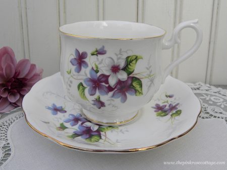 Vintage Royal Albert Purple Cottage Violets Teacup and Saucer Online Sale