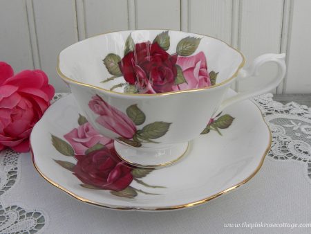 Vintage Royal Albert Pink and Maroon Roses Teacup and Saucer Supply